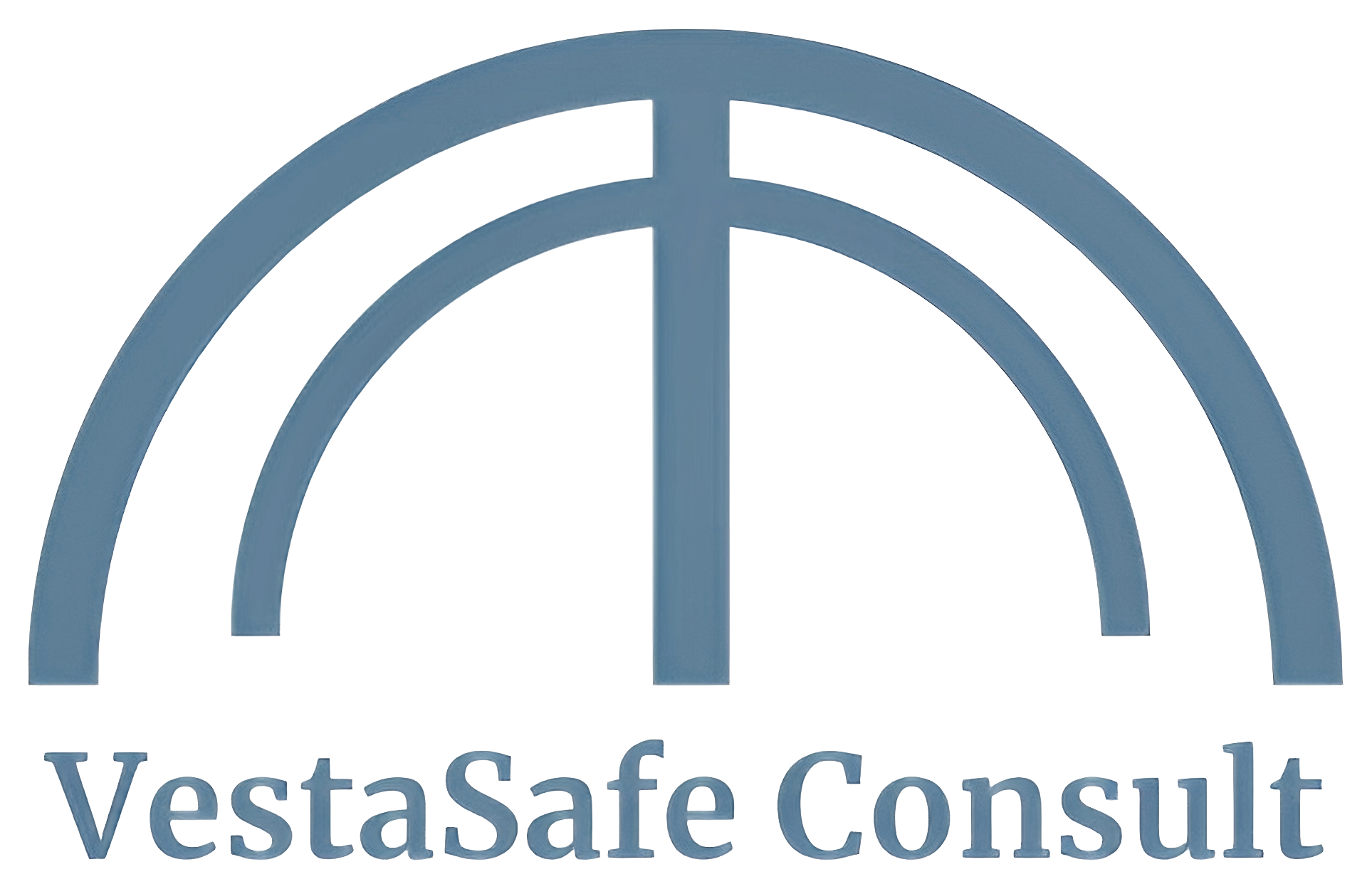 VestaSafe Consult
